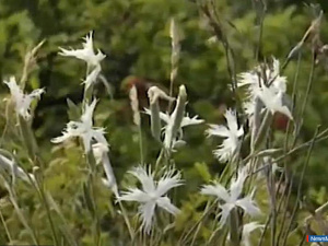 ������ ��� ������� ����� ����� ����� ������������� ��������