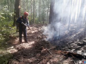 ������� ����� ����� ����� ������� �����������