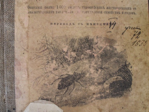 � ������ �������� �������� "��� ������� �����"