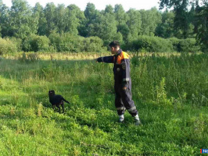 ��������� ������ ����� ���� ���� ��������� �����������