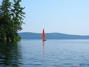 ��������� "����" ������ ���� ������ �� ����� �������