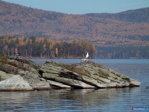 ��������� "����" ������ ���� ������ �� ����� �������