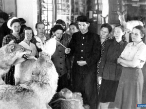 1949 ���. ����������� �.�.������