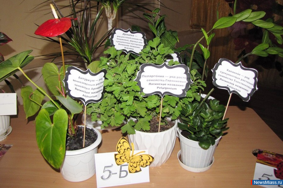 �������� � 26 �������� 10-������ ������. � ����� ������� ���� ������ � ������� �������� � ������� ��������� ������ ����������� �����������