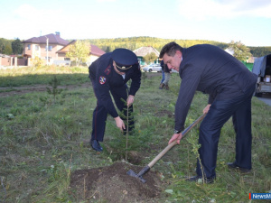 ����������� ������ �������� "��� ������"