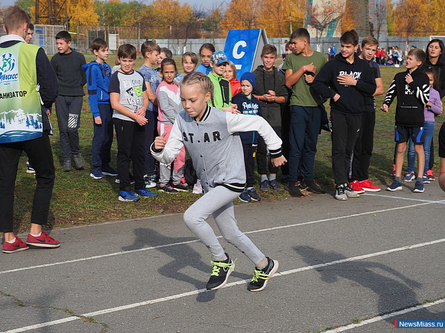     .   -  300  -      : , ,     