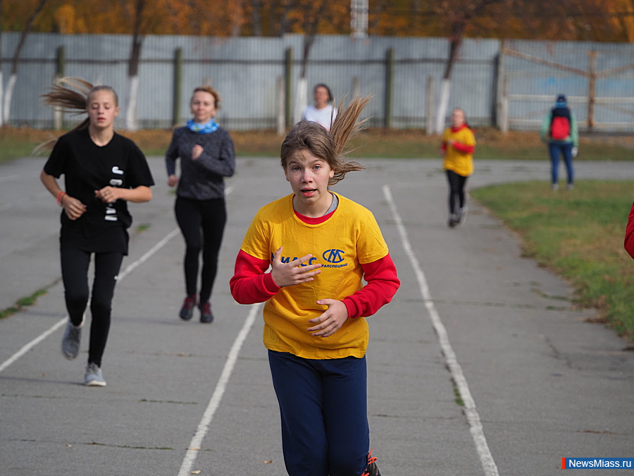     .   -  300  -      : , ,     