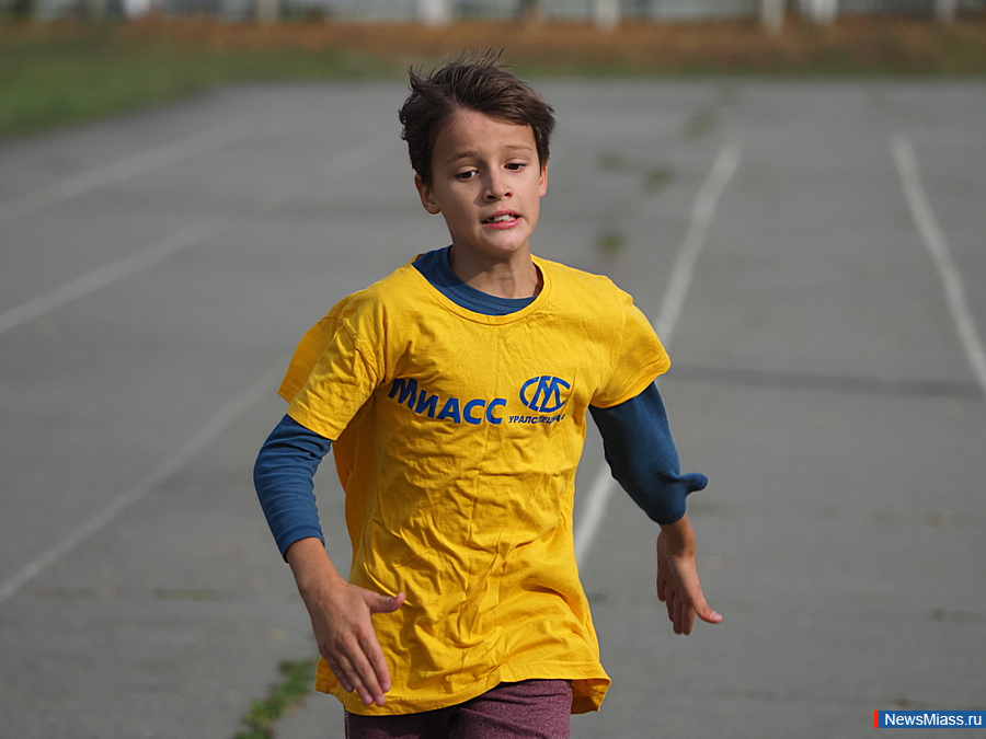     .   -  300  -      : , ,     