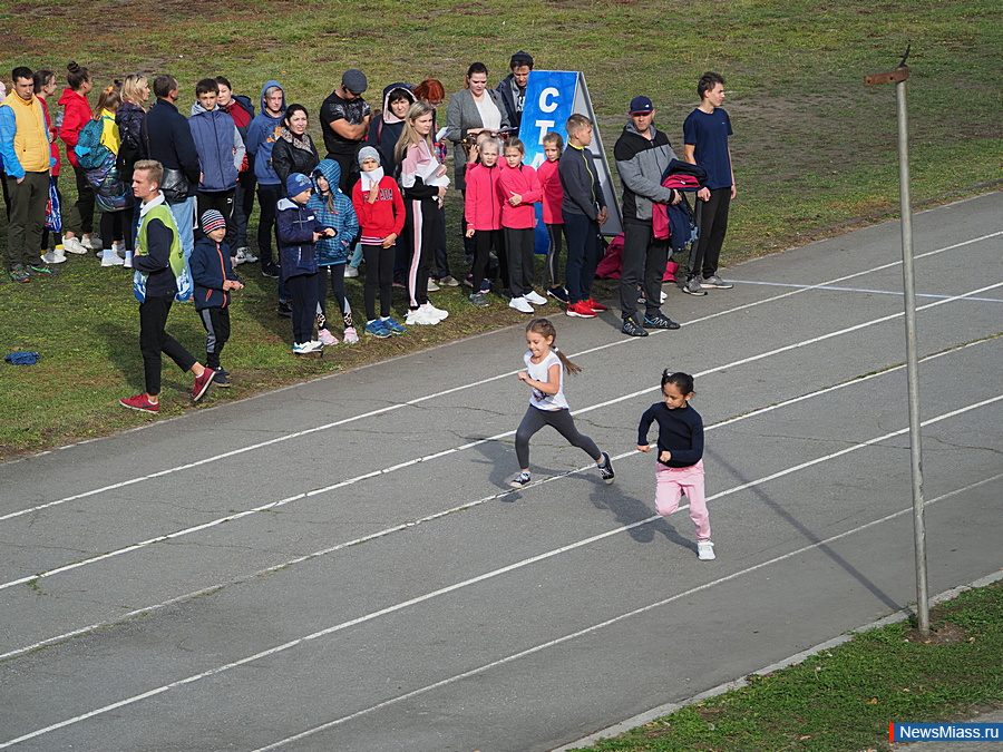     .   -  300  -      : , ,     