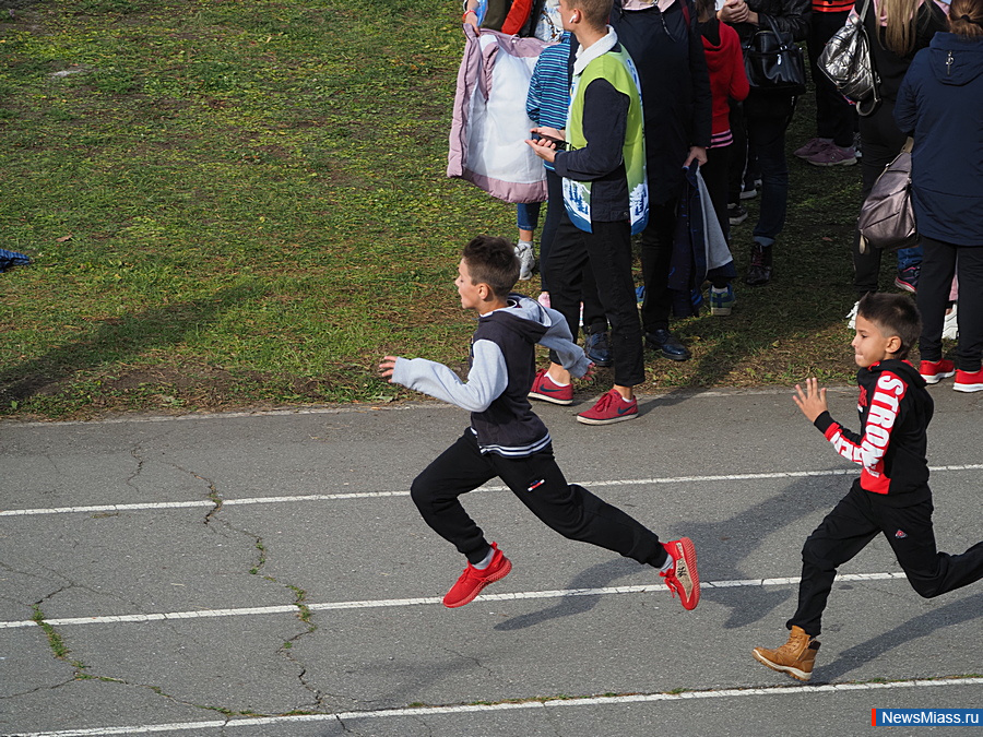     .   -  300  -      : , ,     