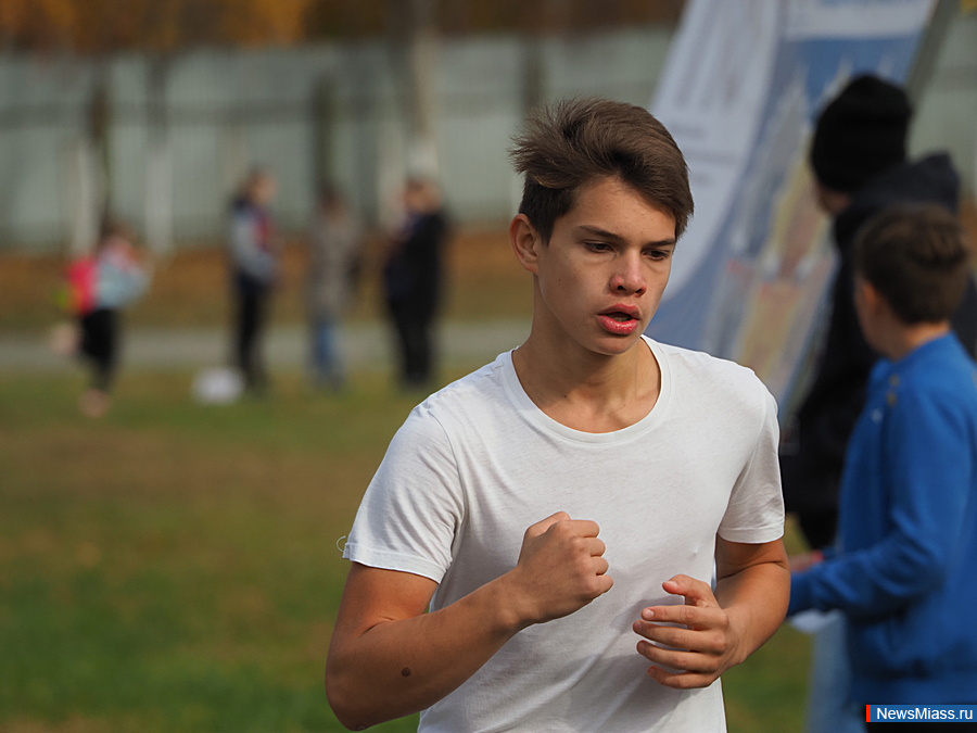     .   -  300  -      : , ,     