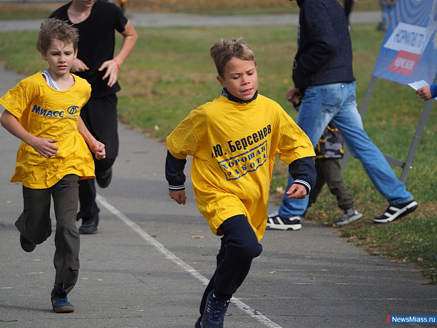     .   -  300  -      : , ,     