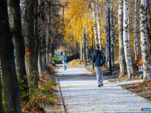 � ������ ��������������� ����� ������