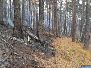 ����� ���������� ���� ����� ��������� ������