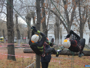 �������� ����������� �������� � ����� ���������� �� �����