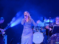 � ������ ������ ������� ���������� MP-3