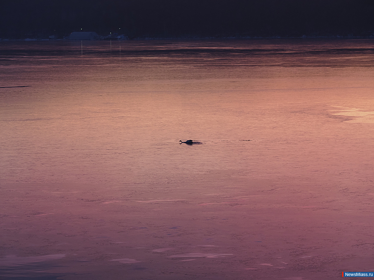 �� ����� � ������ ������� ������. ����������� ����� ���������� �������� ��������� �������