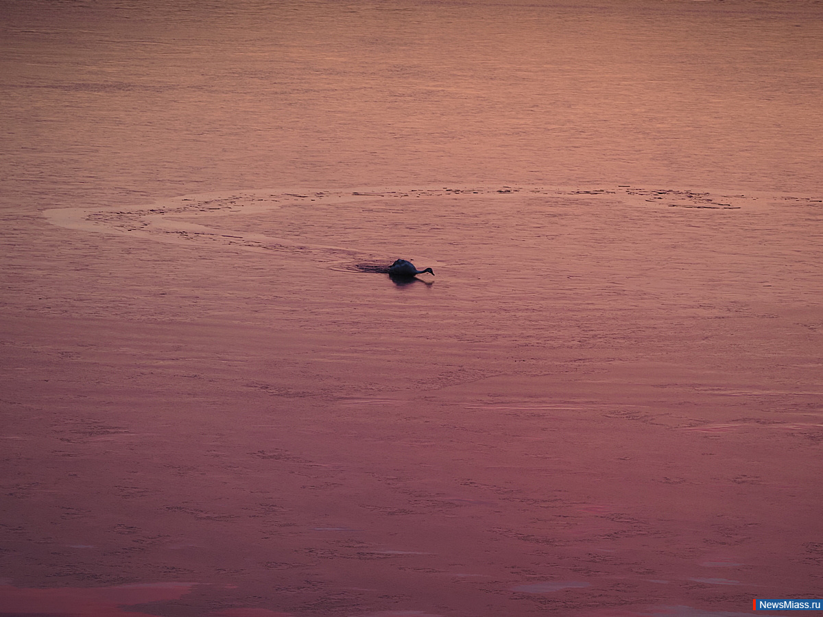 �� ����� � ������ ������� ������. ����������� ����� ���������� �������� ��������� �������