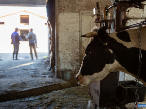 ���� "����������" �� ������ - ����� ���������� ���������� ��������