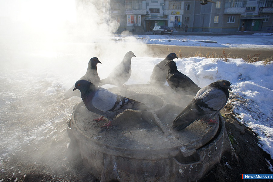 , ,      .         20 