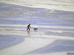 ������ ������ ����� ������������ ������ �����