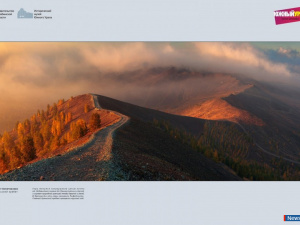 ����� ������� ������ ������� ������ ����� - ��� ��������� �� ������