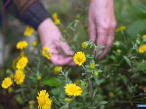 ������ ������ ����� �������������� � ������-����� "����� �����������"