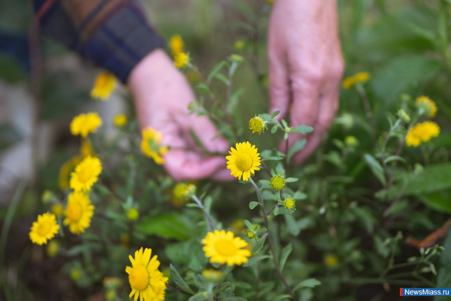      - " ". En+ Group             -