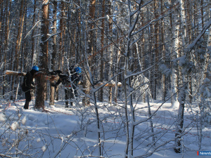 ������� ������ - �� ��������� ���������� ������