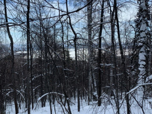 ������� ������ ����� ���� �������� ����