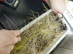 ������ ������� ������ � ������� �����!