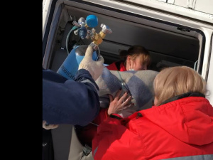 ��������� �������� � ���������� ��������� �� �������� � ���������