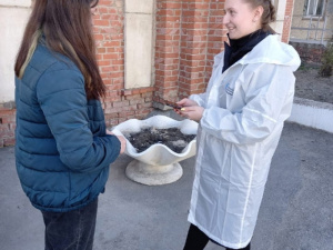 �������� �������� ������� ������� ������ ��� ���������������