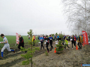 �������������� ������ �������� ����� ���������� �������