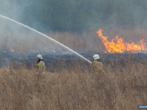 � ������ �� ������� ������ ������ � �������� ����