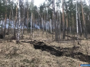 ������� �������� �������� ��������� �������� ���������� � ������