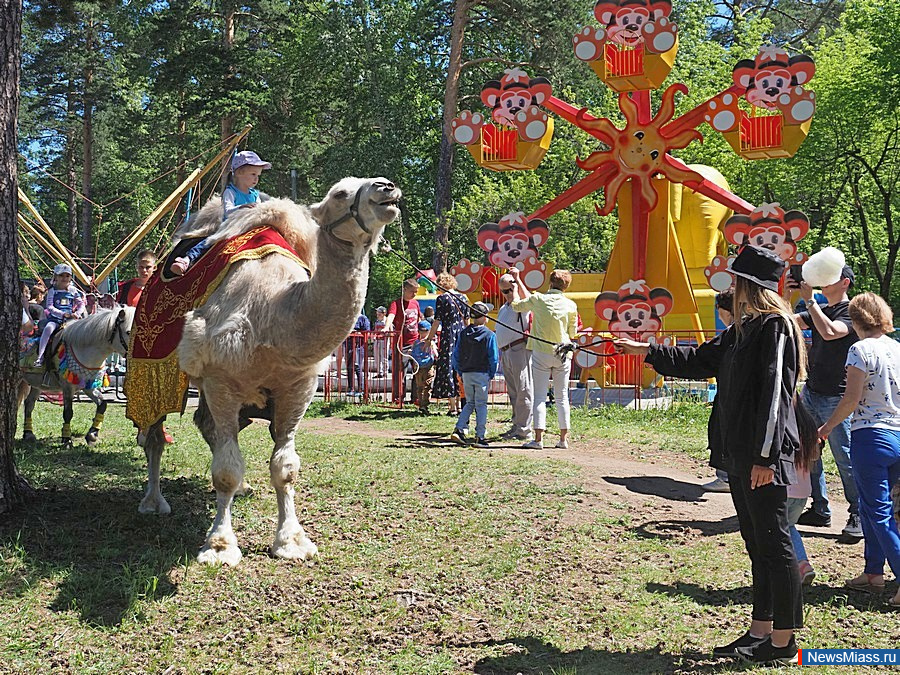 ����� ������� "��������". � �������� ����� ������������ ���� � ������ ������������� �������� �����