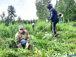 ������ ���� �� ������ ��������