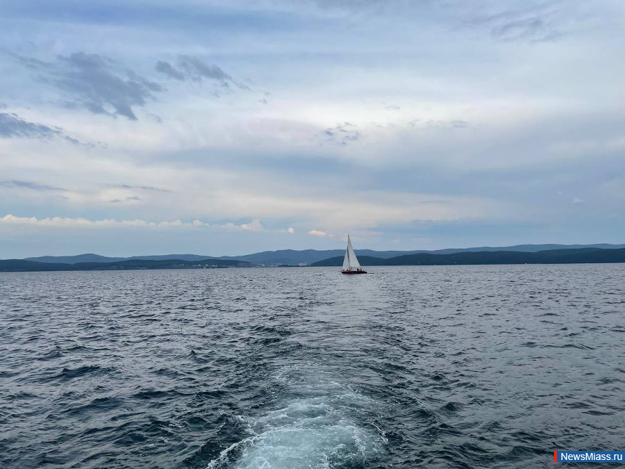    :       - ?.      ,      ,   