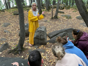 � ������ �������� travel-�������