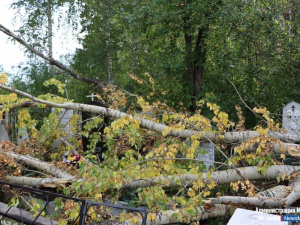 �� ��������� ������ ������ �������� ��������