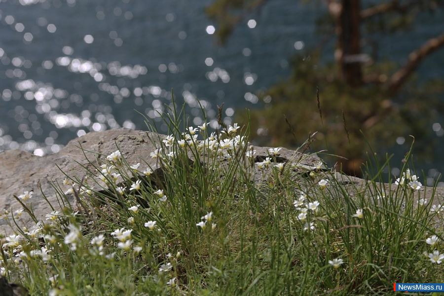 Ҹ      .         25   30  