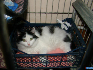 ������ ���������� � "������"