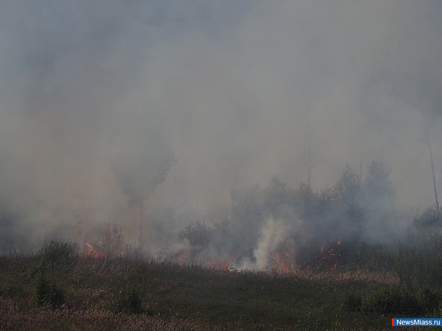 ��� ������ ����� ������� ������ ���������� ����. �������� ������ ������ ����� ���, ����������, �����, �����, ��� � ����