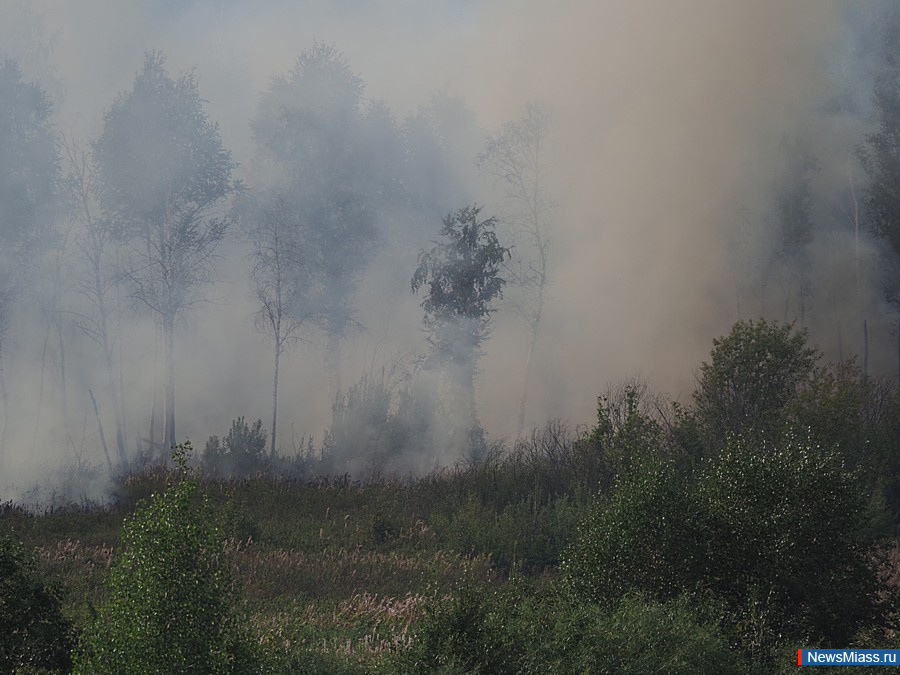 ��� ������ ����� ������� ������ ���������� ����. �������� ������ ������ ����� ���, ����������, �����, �����, ��� � ����