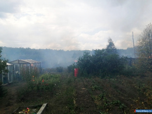 ����� � ����� ������������ �� ������ ������