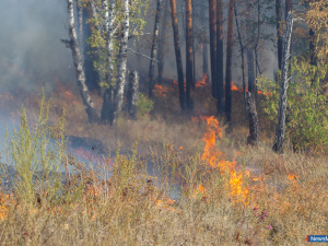 � ������ - ������ ���������� �� �����