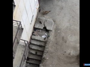 ��������� � ������ ������ ��������� �����