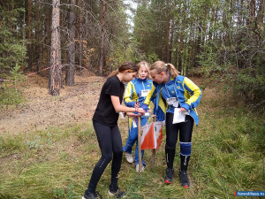 ���������� �� ������ �������� "����������� ����"