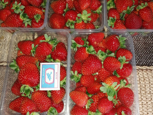 ���������� �������� ����� ����������� ����� ����� �� ������